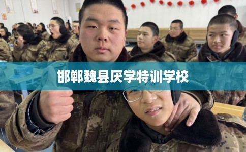 邯郸魏县厌学特训学校