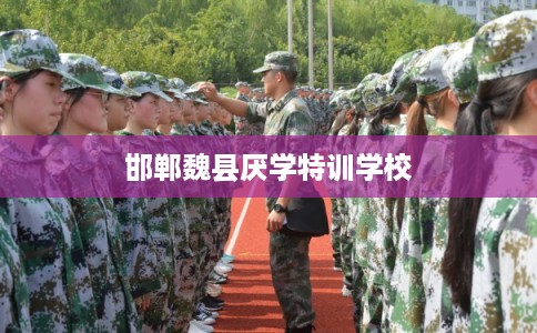 邯郸魏县厌学特训学校