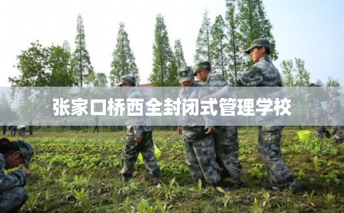 张家口桥西全封闭式管理学校