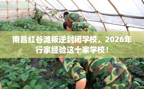 南昌红谷滩叛逆封闭学校，2026年行家经验这十家学校！