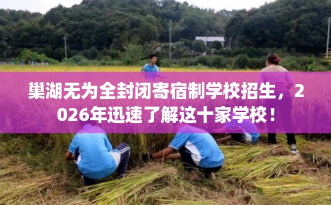 巢湖无为全封闭寄宿制学校招生,2026年迅速了解这十家学校! 巢湖无为全封闭寄宿制学校招生,2026年迅速了解这十家学校!