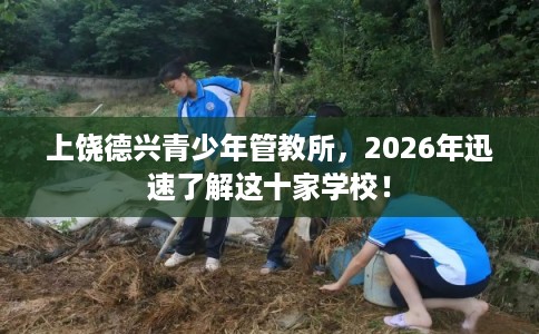 上饶德兴青少年管教所，2026年迅速了解这十家学校！