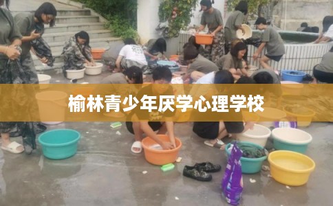 榆林青少年厌学心理学校