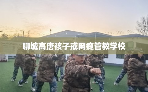 聊城高唐孩子戒网瘾管教学校