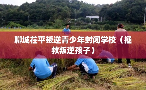 聊城茌平叛逆青少年封闭学校（拯救叛逆孩子）