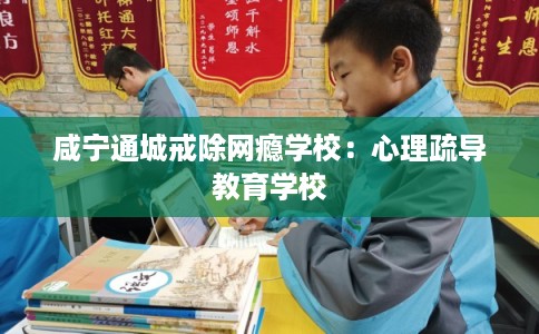 咸宁通城戒除网瘾学校：心理疏导教育学校