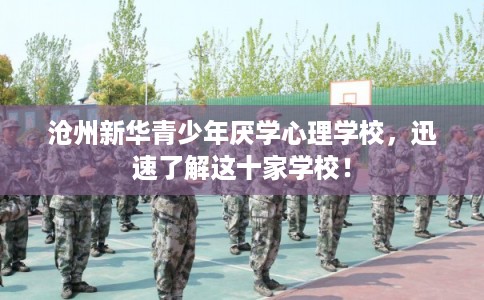 沧州新华青少年厌学心理学校，迅速了解这十家学校！