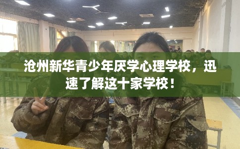 沧州新华青少年厌学心理学校，迅速了解这十家学校！
