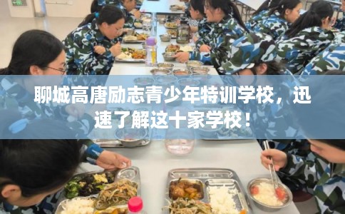 聊城高唐励志青少年特训学校，迅速了解这十家学校！