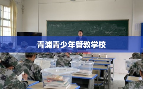 青浦青少年管教学校