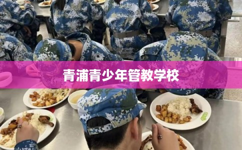 青浦青少年管教学校