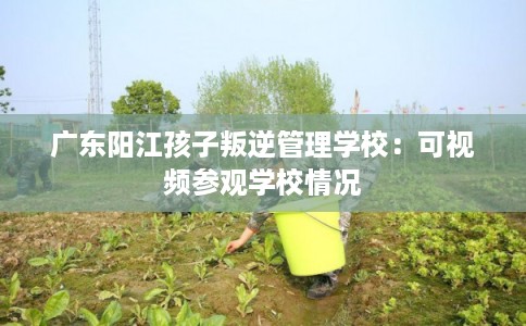 广东阳江孩子叛逆管理学校：可视频参观学校情况