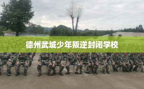 德州武城少年叛逆封闭学校
