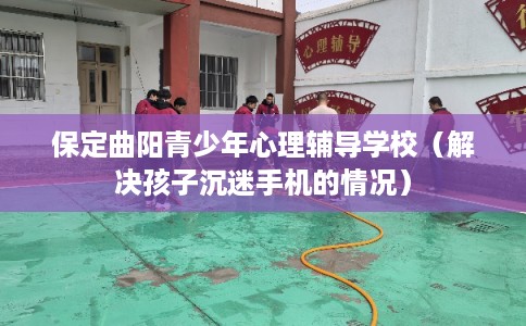 保定曲阳青少年心理辅导学校（解决孩子沉迷手机的情况）
