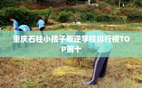 重庆石柱小孩子叛逆学校排行榜TOP前十