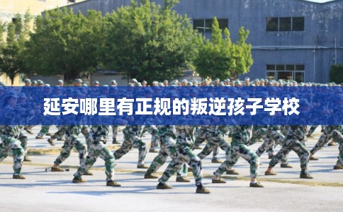 延安哪里有正规的叛逆孩子学校