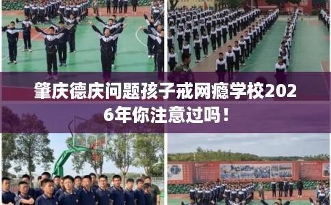 肇庆德庆问题孩子戒网瘾学校2026年你注意过吗！