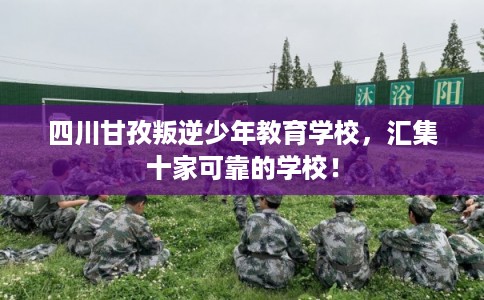 四川甘孜叛逆少年教育学校，汇集十家可靠的学校！