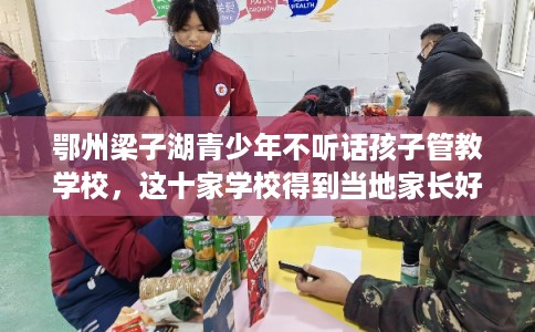 鄂州梁子湖青少年不听话孩子管教学校，这十家学校得到当地家长好评！