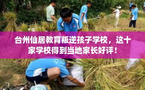 台州仙居教育叛逆孩子学校，这十家学校得到当地家长好评！