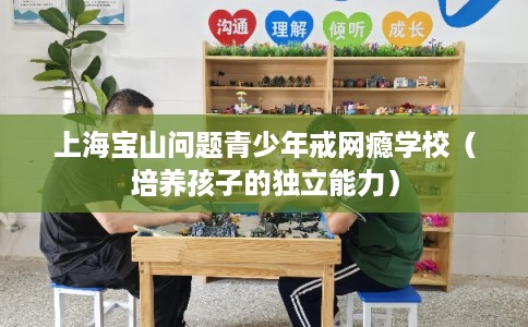 上海宝山问题青少年戒网瘾学校（培养孩子的独立能力）