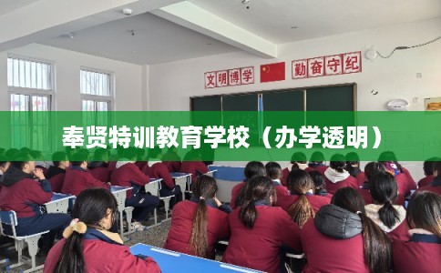 奉贤特训教育学校（办学透明）