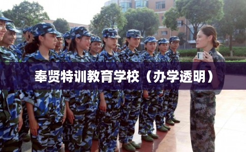 奉贤特训教育学校（办学透明）