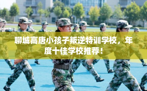 聊城高唐小孩子叛逆特训学校，年度十佳学校推荐！