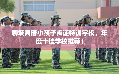 聊城高唐小孩子叛逆特训学校，年度十佳学校推荐！