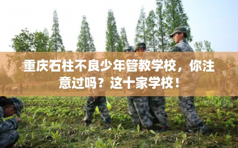 重庆石柱不良少年管教学校，你注意过吗？这十家学校！