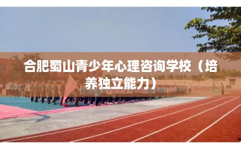 合肥蜀山青少年心理咨询学校（培养独立能力）