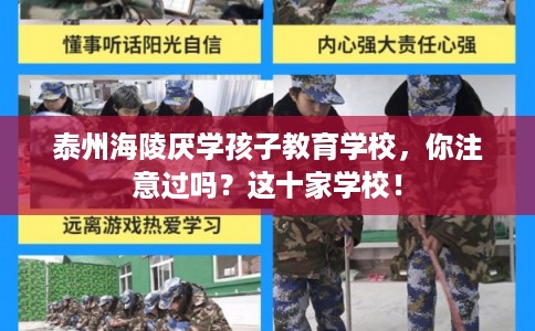 泰州海陵厌学孩子教育学校，你注意过吗？这十家学校！