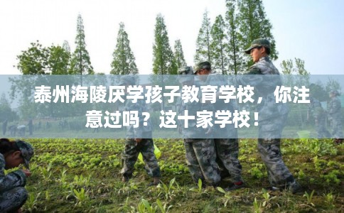 泰州海陵厌学孩子教育学校，你注意过吗？这十家学校！