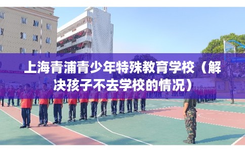上海青浦青少年特殊教育学校（解决孩子不去学校的情况）
