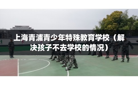上海青浦青少年特殊教育学校（解决孩子不去学校的情况）