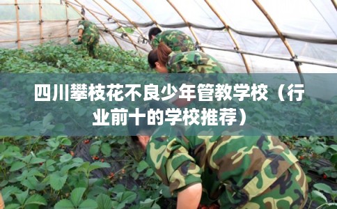 四川攀枝花不良少年管教学校（行业前十的学校推荐）