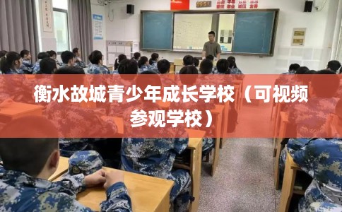 衡水故城青少年成长学校（可视频参观学校）