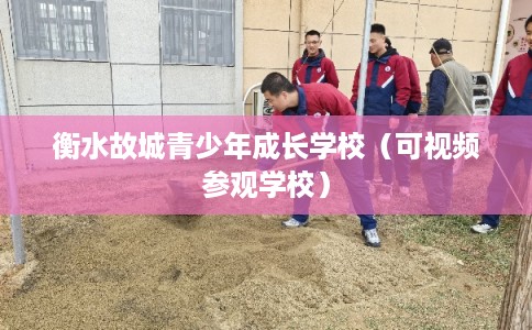 衡水故城青少年成长学校（可视频参观学校）