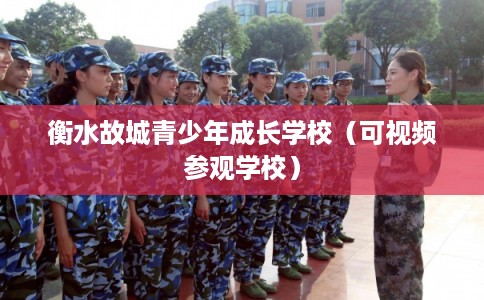 衡水故城青少年成长学校（可视频参观学校）