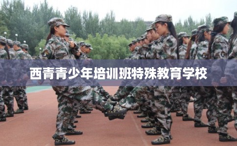 西青青少年培训班特殊教育学校