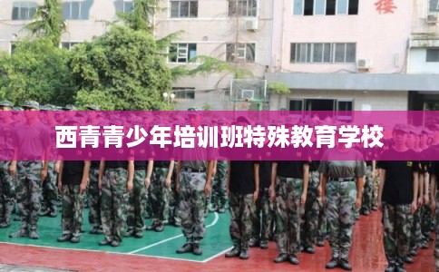 西青青少年培训班特殊教育学校