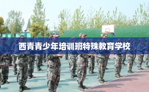 西青青少年培训班特殊教育学校