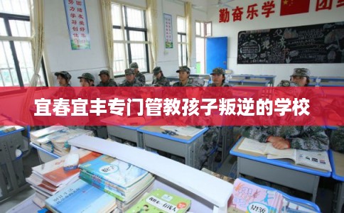 宜春宜丰专门管教孩子叛逆的学校