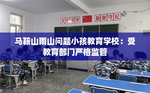 马鞍山雨山问题小孩教育学校：受教育部门严格监管