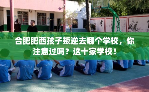 合肥肥西孩子叛逆去哪个学校，你注意过吗？这十家学校！