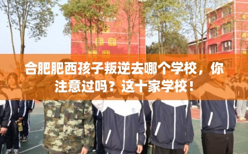 合肥肥西孩子叛逆去哪个学校，你注意过吗？这十家学校！