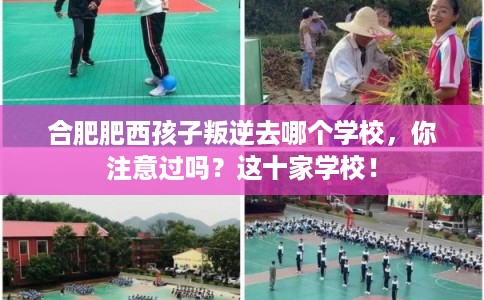 合肥肥西孩子叛逆去哪个学校，你注意过吗？这十家学校！