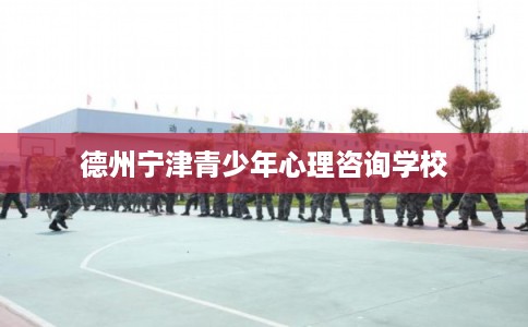 德州宁津青少年心理咨询学校