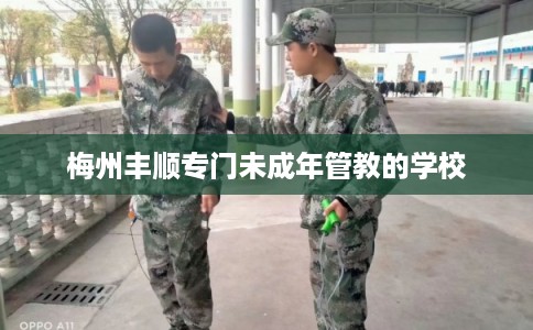 梅州丰顺专门未成年管教的学校