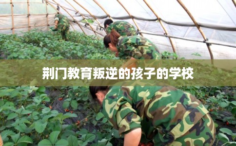 荆门教育叛逆的孩子的学校